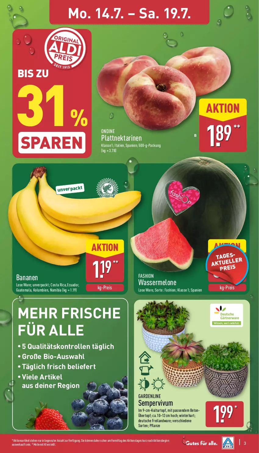 Aktueller Prospekt Aldi Nord - Von Montag - von 14.07 bis 19.07.2025 - strona 3 - produkty: banane, bananen, bio, eis, gin, kulturtopf, melone, Nektar, nektarinen, pflanze, reis, Sempervivum, Ti, topf, übertopf, wasser, wassermelone, ZTE