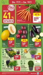 Gazetka promocyjna Aldi Nord - Von Montag - Gazetka - ważna od 19.07 do 19.07.2025 - strona 27 - produkty: aubergine, blume, blumen, bügel, Bundmöhren, chrysanthemen, eis, gin, honig, honigmelone, Kugel, kulturtopf, lavendel, melone, möhren, pflanze, pflanzen, pflaume, pflaumen, reis, Ria, Schal, Schale, stauden, Ti, topf, ZTE