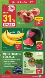 Gazetka promocyjna Aldi Nord - Von Montag - Gazetka - ważna od 19.07 do 19.07.2025 - strona 3 - produkty: banane, bananen, bio, eis, gin, kulturtopf, melone, Nektar, nektarinen, pflanze, reis, Sempervivum, Ti, topf, übertopf, wasser, wassermelone, ZTE