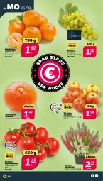 Gazetka promocyjna Netto - Woche 39 - Gazetka - ważna od 01.10 do 01.10.2022 - strona 2 - produkty: eis, Kürbis, mandarine, mandarinen, rispentomaten, Ti, tomate, tomaten, topf, trauben
