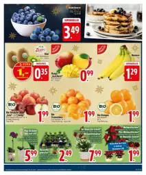 Gazetka promocyjna Edeka - Prospekte - Gazetka - ważna od 16.12 do 16.12.2024 - strona 5 - produkty: banane, bananen, bio, clementinen, Elan, kiwi, orange, orangen, tafeläpfel, Ti, topf