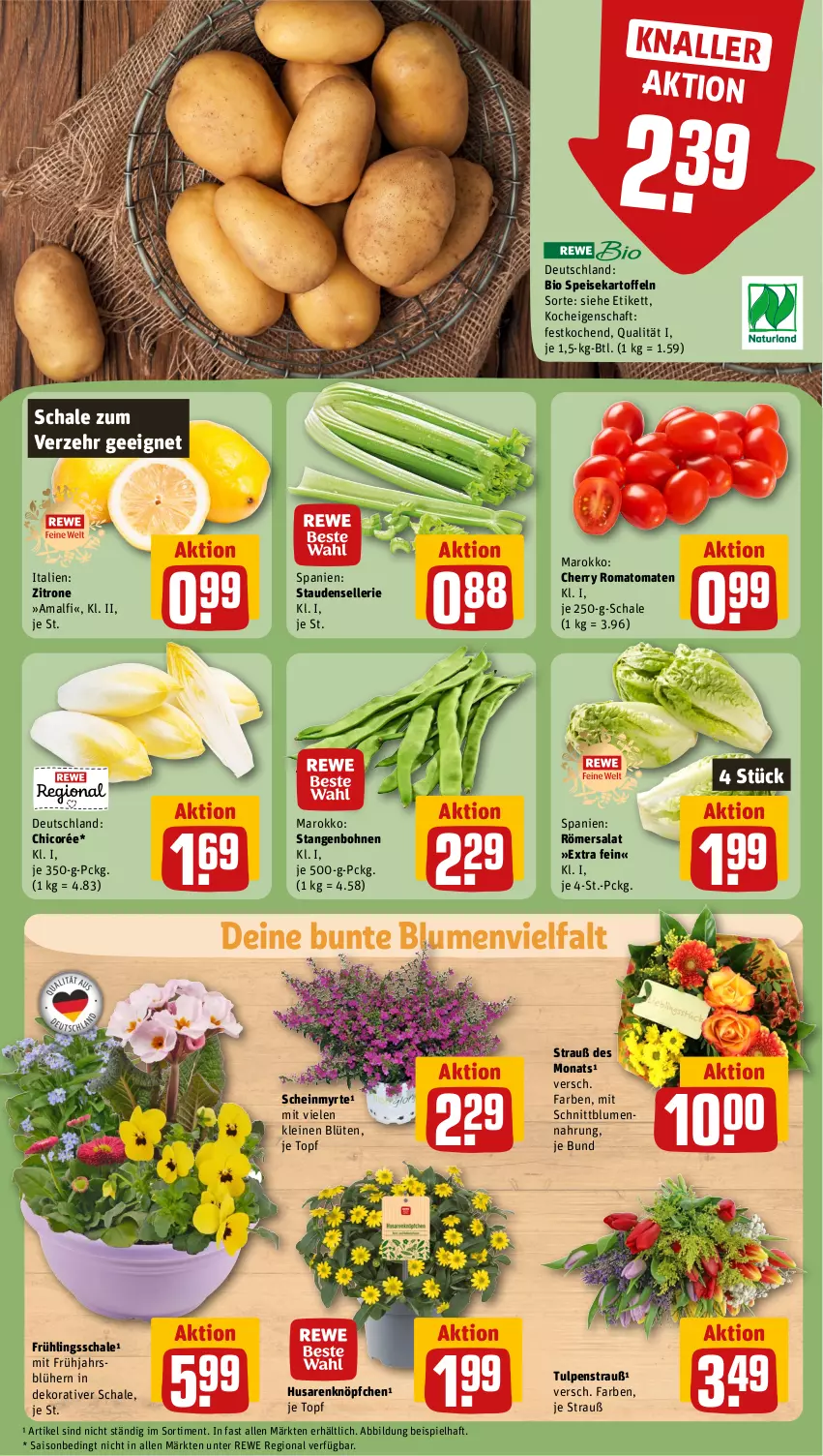 Aktueller Prospekt Rewe - Prospekte - von 08.04 bis 13.04.2024 - strona 7 - produkty: bio, blume, blumen, Blüte, bohne, bohnen, eis, elle, kartoffel, kartoffeln, leine, Romatomaten, salat, Schal, Schale, speisekartoffeln, stauden, Ti, tomate, tomaten, topf, zitrone