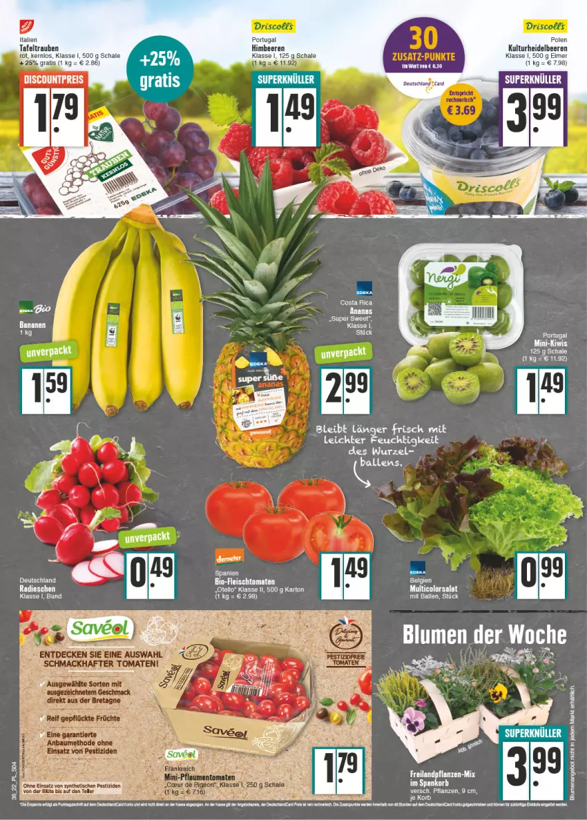 Aktueller Prospekt E Center - Angebote der Woche - von 05.09 bis 10.09.2022 - strona 4 - produkty: ananas, beere, beeren, bio, blume, blumen, discount, eimer, eis, elle, fleisch, heidelbeere, heidelbeeren, himbeer, himbeere, himbeeren, kiwi, korb, radieschen, reis, salat, Schal, Schale, tafeltrauben, Ti, tomate, tomaten, trauben