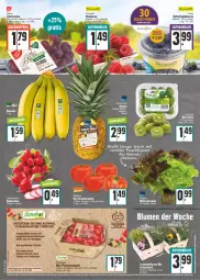 Gazetka promocyjna E Center - Angebote der Woche - Gazetka - ważna od 10.09 do 10.09.2022 - strona 4 - produkty: ananas, beere, beeren, bio, blume, blumen, discount, eimer, eis, elle, fleisch, heidelbeere, heidelbeeren, himbeer, himbeere, himbeeren, kiwi, korb, radieschen, reis, salat, Schal, Schale, tafeltrauben, Ti, tomate, tomaten, trauben