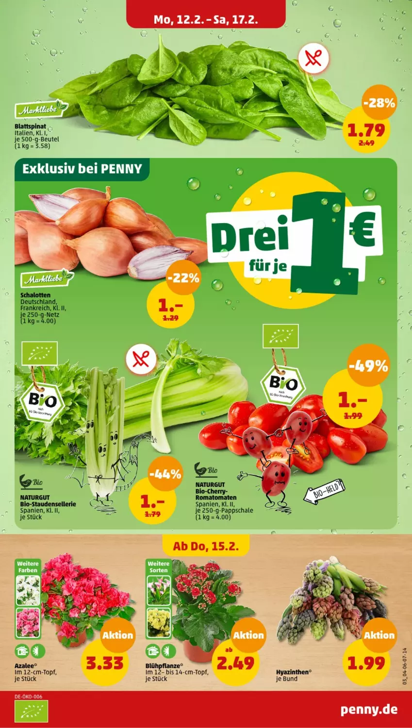 Aktueller Prospekt Penny - Prospekte - von 12.02 bis 17.02.2024 - strona 3 - produkty: beutel, bio, blattspinat, elle, natur, Romatomaten, Schal, Schale, spinat, stauden, tomate, tomaten, topf