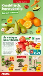 Gazetka promocyjna Penny - Prospekte - Gazetka - ważna od 17.02 do 17.02.2024 - strona 2 - produkty: Bau, beutel, bio, Birnen, gin, natur, naturland, orange, orangen, orchidee, Schal, Schale, topf