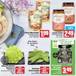 Gazetka promocyjna Hit - Prospekte - Gazetka - ważna od 16.04 do 16.04.2022 - strona 17 - produkty: beutel, bio, blume, blumen, blumenkohl, brokkoli, eis, elle, Knödel, küche, Mode, pfanni, pfeffer, reis, sim, simba, Ti, zucker