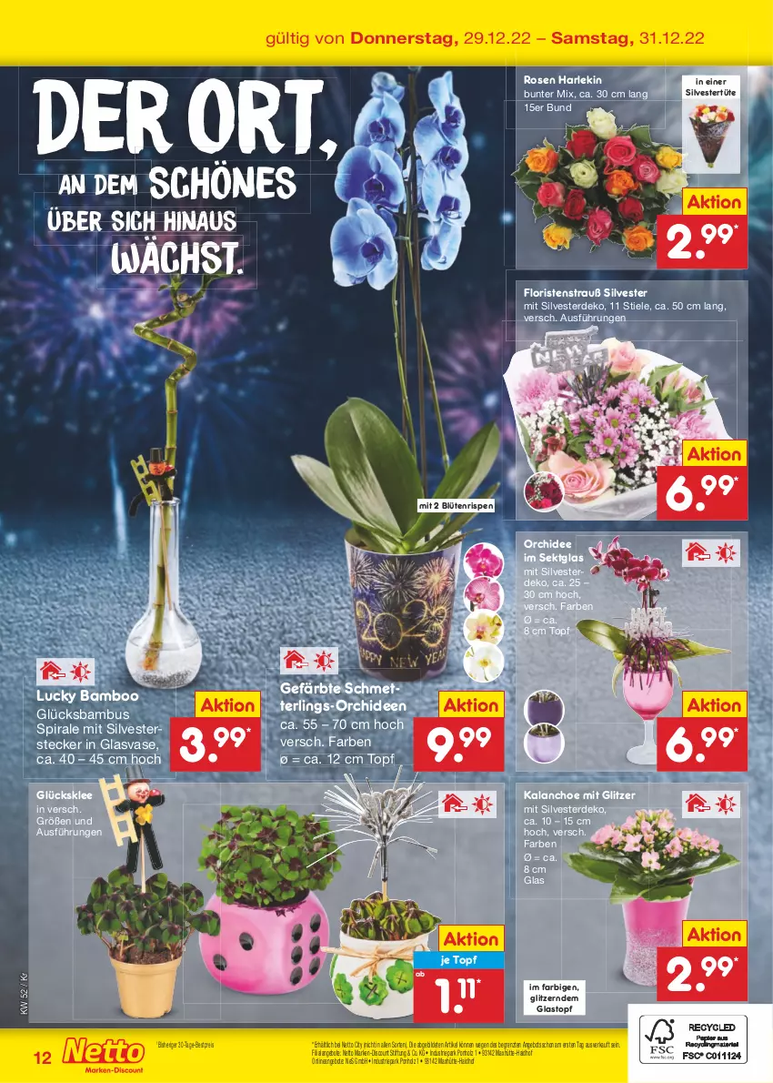 Aktueller Prospekt Netto Marken-Discount - Filial-Angebote - von 27.12 bis 31.12.2022 - strona 40 - produkty: angebot, angebote, bamboo, bambus, bestpreis, Blüte, discount, eis, erde, glücksklee, Holz, Kalanchoe, marken-discount, Mett, orchidee, orchideen, reis, rosen, Schmetterling, sekt, Ti, topf, Tüte, Vase, ZTE