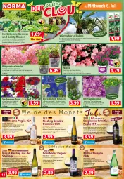 Gazetka promocyjna Norma - Norma - Gazetka - ważna od 11.07 do 11.07.2022 - strona 12 - produkty: apfel, blume, Blüte, butter, cuvée, dornfelder, eis, flasche, frucht, früchte, früchten, Garten, gewürz, hortensie, Käse, kirsch, kirsche, kirschen, kopfsalat, kulturtopf, LG, mac, meeresfrüchte, Müller, Müller-Thurgau, pflanze, pflanzen, pflaume, pflaumen, Pink Lady, primitivo, qualitätswein, Radicchio, reifen, riesling, rosato, rosen, rotwein, salat, saro, Ti, topf, vanille, vorspeise, wein, weine, Weißwein, weißwein-, zucker