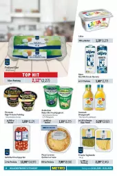 Gazetka promocyjna Metro - Food-Nonfood - Gazetka - ważna od 15.01 do 15.01.2025 - strona 12 - produkty: alpro, andechser natur, Becher, bio, braun, drink, ehrmann, eier, eis, elle, feinkost, flasche, fleisch, frucht, fruchtfleisch, fruchtjoghurt, HP, Innocent, joghur, joghurt, kirsch, lätta, lorenz, molkereiprodukte, natur, orange, orangen, orangensaft, paprika, pizza, pudding, Quiche, saft, tagliatelle, Ti