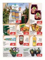 Gazetka promocyjna Feneberg - Prospekte - Gazetka - ważna od 11.03 do 11.03.2023 - strona 10 - produkty: apfel, apfelmus, beutel, bio, elle, ente, feinschmecker, flasche, heinz, keimöl, ketchup, knorr, Kühne, LG, maggi, maggi fix, mazola, Narzissen, rotkohl, sauce, saucen, senf, suppe, suppen, teller, thomy, Ti, tomato ketchup, topf