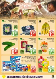 Gazetka promocyjna Edeka - Prospekte - Gazetka - ważna od 06.06 do 06.06.2026 - strona 6 - produkty: banane, bananen, beere, beeren, bio, brombeere, brombeeren, frucht, gurke, haselnuss, heidelbeere, heidelbeeren, himbeer, himbeere, himbeeren, knoppers, milch, nuss, paprika, paprika mix, püree, riegel