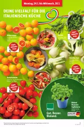 Gazetka promocyjna Lidl - Aktionsprospekt - Gazetka - ważna od 29.01 do 29.01.2022 - strona 3 - produkty: angebot, bio, bioland, Blutorange, cola, eis, elle, fenchel, kräuter, küche, orange, orangen, reis, Romatomaten, rucola, Ti, tomate, tomaten, topf, Topfkräuter, ZTE