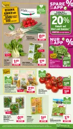 Gazetka promocyjna Wasgau - Gazetka - ważna od 11.07 do 11.07.2026 - strona 7 - produkty: Babyspinat, beutel, bohne, bohnen, cola, coupon, eis, eisbergsalat, florette, Frühkartoffeln, Garten, grill, Grillmais, ideal zum grillen, kartoffel, kartoffeln, kopfsalat, Lauchzwiebel, lauchzwiebeln, mais, Müller, natur, natura, obst, Obst und Gemüse, Pak Choi, radieschen, Rauch, reifen, reis, rucola, salat, Schal, Schale, speisefrühkartoffeln, spinat, Stier, strauchtomaten, tee, Ti, tomate, tomaten, und gemüse, wein, zwiebel, zwiebeln