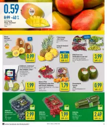 Gazetka promocyjna Diska - Prospekte - Gazetka - ważna od 19.02 do 19.02.2022 - strona 4 - produkty: aktionspreis, ananas, avocado, beere, beeren, Birnen, deka, driscoll's, eis, himbeer, himbeere, himbeeren, kiwi, Kiwi Gold, mango, natur, Physalis, reis, Schal, Schale, tafeläpfel, tafelbirnen, tafeltrauben, Ti, trauben, zucchini