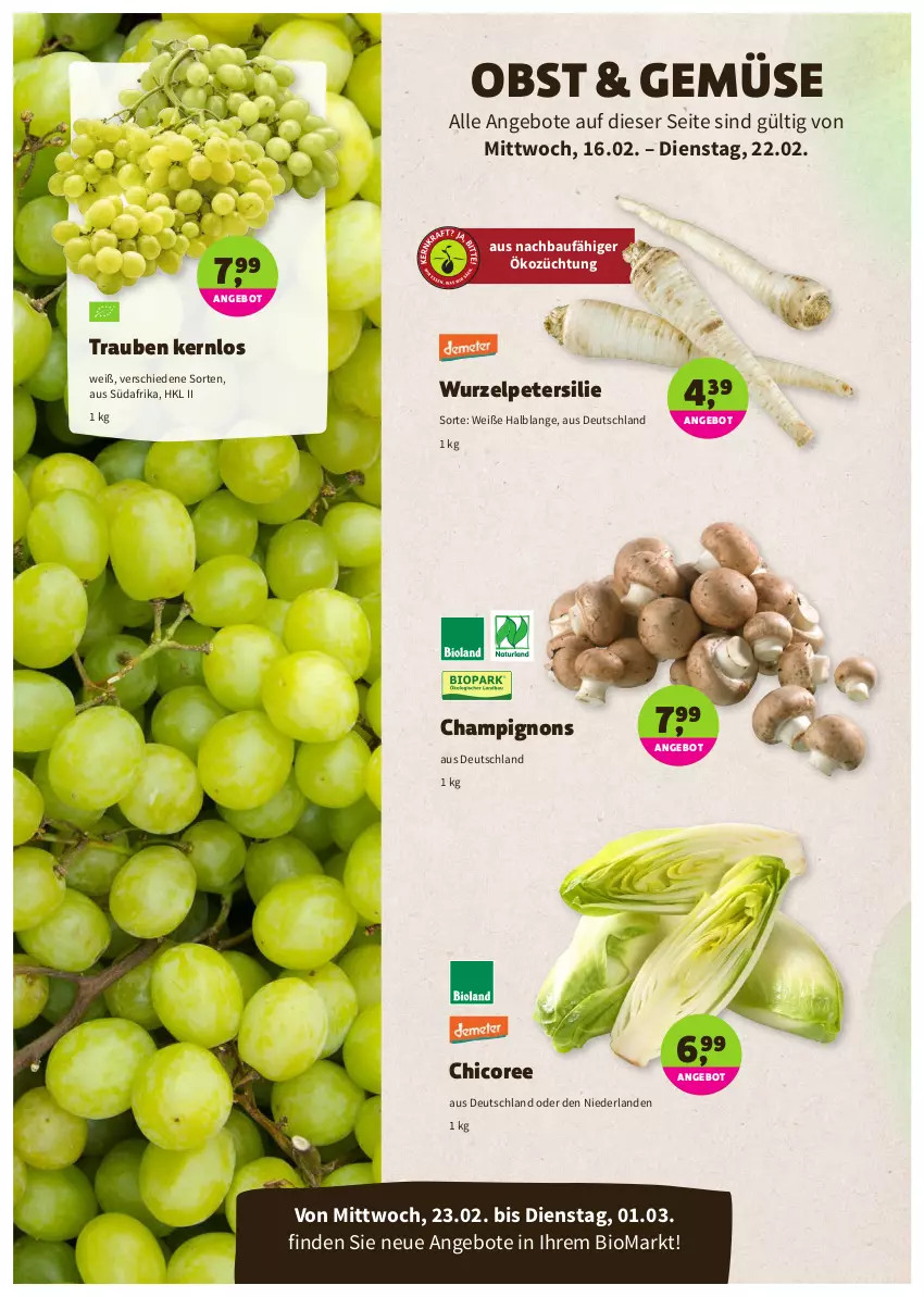 Aktueller Prospekt Denns Biomarkt - Prospekte - von 16.02 bis 01.03.2022 - strona 2 - produkty: angebot, angebote, Bau, bio, champignon, champignons, obst, petersilie, Ti, trauben