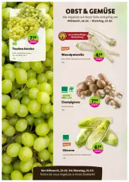 Gazetka promocyjna Denns Biomarkt - Prospekte - Gazetka - ważna od 01.03 do 01.03.2022 - strona 2 - produkty: angebot, angebote, Bau, bio, champignon, champignons, obst, petersilie, Ti, trauben