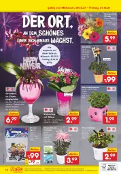 Gazetka promocyjna Netto Marken-Discount - Filial Angebote - Gazetka - ważna od 31.12 do 31.12.2021 - strona 40 - produkty: angebot, angebote, champagne, champagner, chrysanthemen, discount, erde, glücksklee, Holz, Kalanchoe, kulturtopf, marken-discount, orchidee, Schornsteinfeger, sekt, Ti, topf, uhr, würfel, ZTE