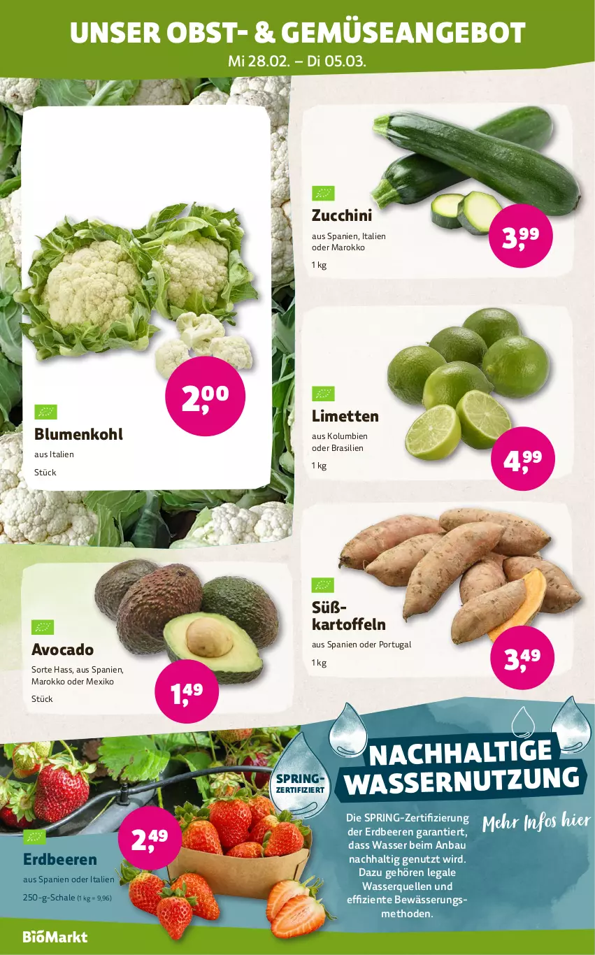 Aktueller Prospekt Denns Biomarkt - von 28.02 bis 12.03.2024 - strona 2 - produkty: angebot, avocado, Bau, beere, beeren, blume, blumen, blumenkohl, elle, ente, erdbeere, erdbeeren, kartoffel, kartoffeln, limette, limetten, Mett, metten, obst, ring, Schal, Schale, Süßkartoffeln, Ti, wasser, zucchini