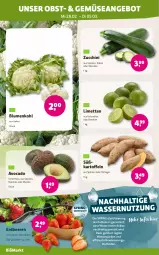 Gazetka promocyjna Denns Biomarkt - Gazetka - ważna od 12.03 do 12.03.2024 - strona 2 - produkty: angebot, avocado, Bau, beere, beeren, blume, blumen, blumenkohl, elle, ente, erdbeere, erdbeeren, kartoffel, kartoffeln, limette, limetten, Mett, metten, obst, ring, Schal, Schale, Süßkartoffeln, Ti, wasser, zucchini