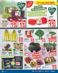 Gazetka promocyjna Edeka - Angebote der Woche - Gazetka - ważna od 24.09 do 24.09.2022 - strona 6 - produkty: acer, banane, bananen, basilikum, bio, bio-basilikum, blume, blumen, buch, burger, deka, edeka bio, eintöpfe, eis, gurke, gurken, HP, korb, kräuter, Kürbis, pasta, reis, rezept, rezepte, rosen, Rosenkohl, salat, salate, Schal, Schale, tafeltrauben, Ti, topf, trauben, Vegeta, wok, ZTE