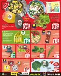 Gazetka promocyjna Edeka - Prospekte - Gazetka - ważna od 26.07 do 26.07.2025 - strona 2 - produkty: avocado, ball, banane, bananen, Bau, bio, brokkoli, deka, dressing, edeka bio, eis, gurke, gurken, mango, pflanze, pflanzen, reis, salat, salatdressing, Sylter, tee, Ti, tisch, top-preis