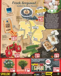 Gazetka promocyjna Edeka - Prospekte - Gazetka - ważna od 26.07 do 26.07.2025 - strona 3 - produkty: auer, Bau, Bauer, beere, beeren, buch, butter, champignon, champignons, deka, eis, elle, ente, heidelbeere, heidelbeeren, Heu, Holz, LG, möhren, nuss, paprika, sac, Schal, Schale, speisemöhren, Ti, zucchini