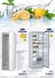 Gazetka promocyjna Selgros - Gastronomie - Gazetka - ważna od 10.08 do 10.08.2022 - strona 31 - produkty: auto, beleuchtung, eis, ente, gefrierschrank, kühlschrank, lack, LG, Magnets, reis, Schal, Schrank, thermostat, Ti, türanschlag wechselbar, wasser