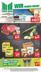 Gazetka promocyjna Marktkauf - Prospekt - Gazetka - ważna od 11.06 do 11.06.2022 - strona 1 - produkty: aktionspreis, angebot, angebote, braten, deka, duplo, eis, elle, fernbedienung, ferrero, fisch, gurke, hanuta, HDMI, Käse, Kinder, kinder riegel, leerdammer, lieferservice, nuss, pflanze, reis, riegel, rind, rinder, Rinderroulade, rinderrouladen, rouladen, salat, Salatgurke, schmorbraten, spare ribs, tee, teller, Ti, uhr, usb, Yo, ZTE