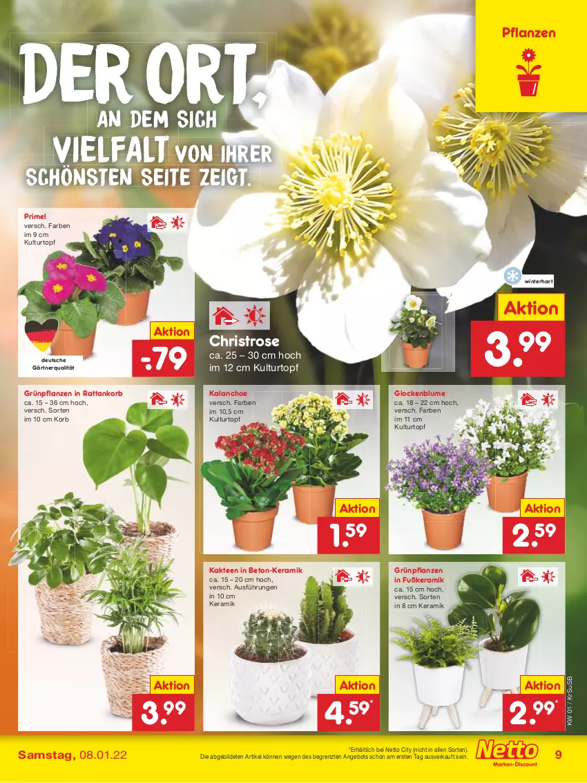 Aktueller Prospekt Netto Marken-Discount - Filial Angebote - von 03.01 bis 08.01.2022 - strona 9 - produkty: angebot, blume, Grünpflanzen, Kaktee, Kalanchoe, korb, kulturtopf, pflanze, pflanzen, tee, Ti, topf, usb, ZTE