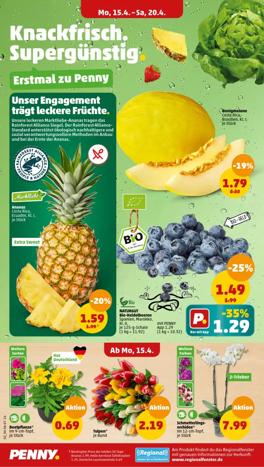 Aktueller Prospekt Penny - Prospekte - von 15.04 bis 20.04.2024 - strona 2 - produkty: ananas, Bau, beere, beeren, bio, früchte, heidelbeere, heidelbeeren, melone, Mett, natur, orchidee, pflanze, Schal, Schale, Schmetterling, Ti, topf