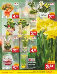 Gazetka promocyjna Netto Marken-Discount - Filial-Angebote - Gazetka - ważna od 16.04 do 16.04.2022 - strona 11 - produkty: angebot, chrysanthemen, eier, Holz, Kalanchoe, korb, kulturtopf, Narzissen, orchidee, orchideen, Ria, Schal, Schale, Ti, topf, ZTE