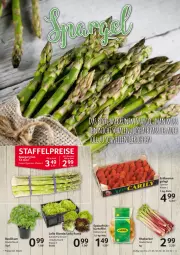 Gazetka promocyjna Selgros - Food - Gazetka - ważna od 27.04 do 27.04.2022 - strona 3 - produkty: basilikum, beere, beeren, bio, eis, elle, erdbeere, erdbeeren, kartoffel, reis, rhabarber, topf