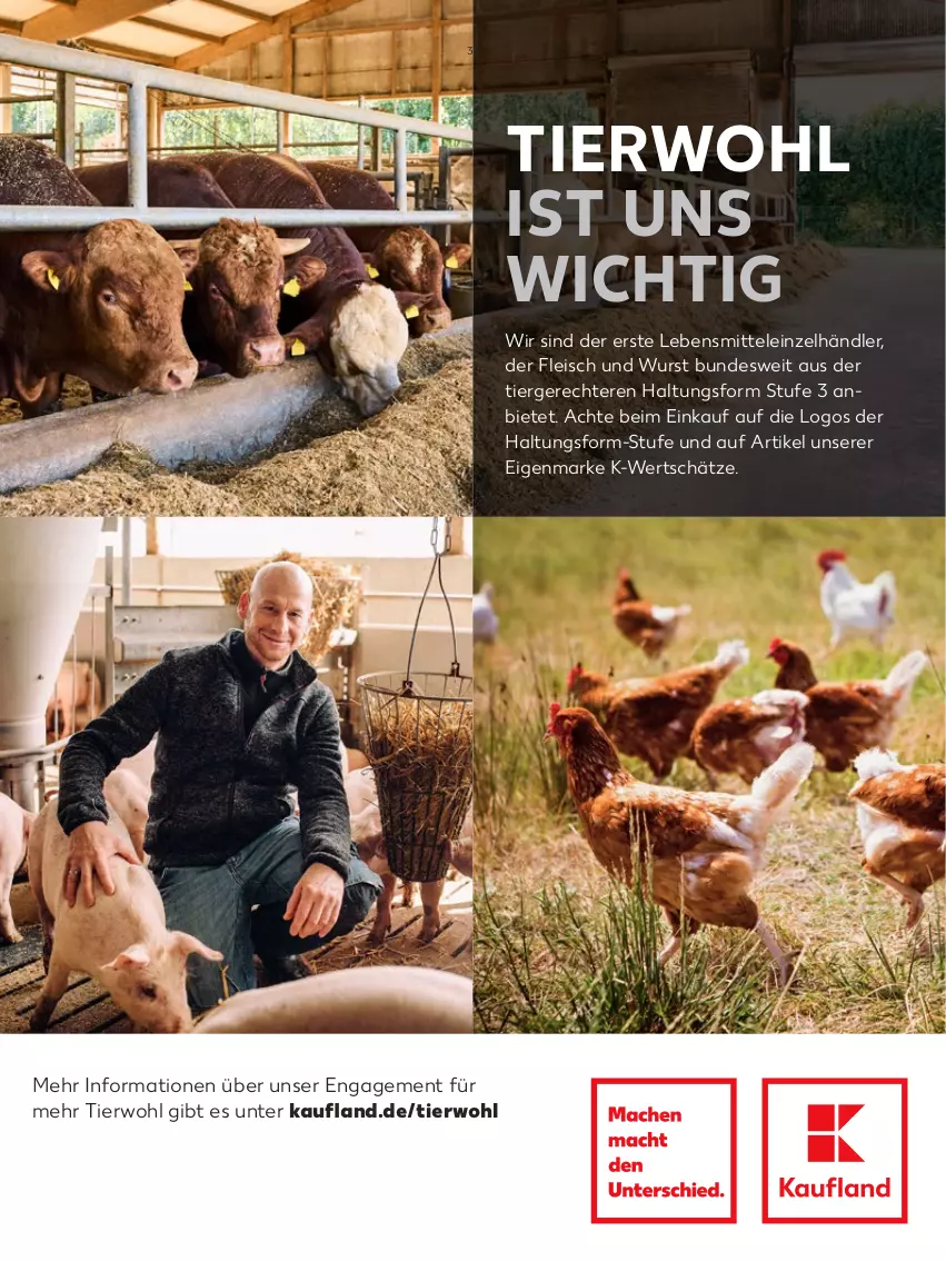 Aktueller Prospekt Kaufland - Gültig von 25.02.2022 bis 15.05.2022 - von 24.02 bis 15.05.2022 - strona 31 - produkty: eis, fleisch, lebensmittel, Ti, wurst