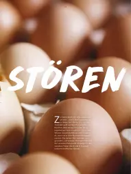 Gazetka promocyjna Kaufland - Gültig von 25.02.2022 bis 15.05.2022 - Gazetka - ważna od 15.05 do 15.05.2022 - strona 29 - produkty: eier, erde, hühner, Stier, Ti, Tiere