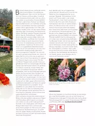 Gazetka promocyjna Kaufland - Gültig von 25.02.2022 bis 15.05.2022 - Gazetka - ważna od 15.05 do 15.05.2022 - strona 39 - produkty: aust, Bau, beko, blume, blumen, Blumen und Pflanzen, Blüte, chrysanthemen, cranberry, dünger, eis, elle, ente, erde, frucht, Garten, Heu, knoblauch, latte, LG, mac, natur, nuss, pflanze, pflanzen, Rauch, ring, rum, rwe, Schütze, sekt, sim, tee, tender, Ti, Tiere, tisch, wasser, weck, Wild