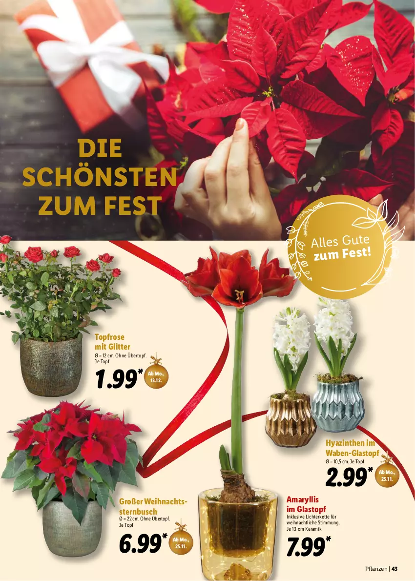 Aktueller Prospekt Lidl - Dein Weihnachtsmarkt - von 30.10 bis 24.12.2021 - strona 43