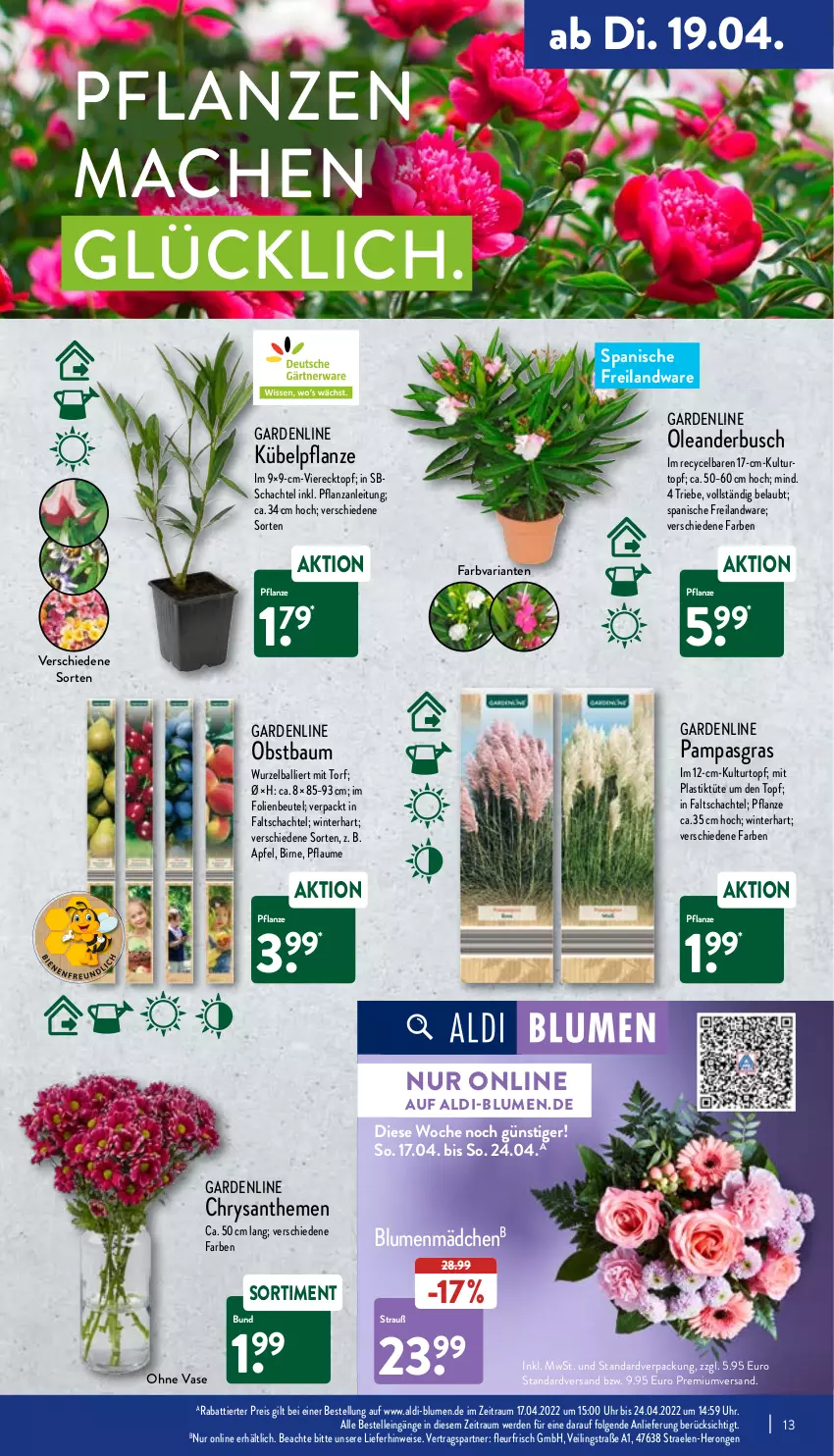 Aktueller Prospekt Aldi Nord - Aldi-Aktuell - von 19.04 bis 23.04.2022 - strona 13 - produkty: aldi, apfel, asti, ball, Bau, beutel, blume, blumen, Blüte, Brei, chrysanthemen, eis, elle, erde, hero, kulturtopf, LG, mac, obst, pflanze, pflanzen, pflaume, reis, Ria, Ti, topf, Tüte, uhr, Vase