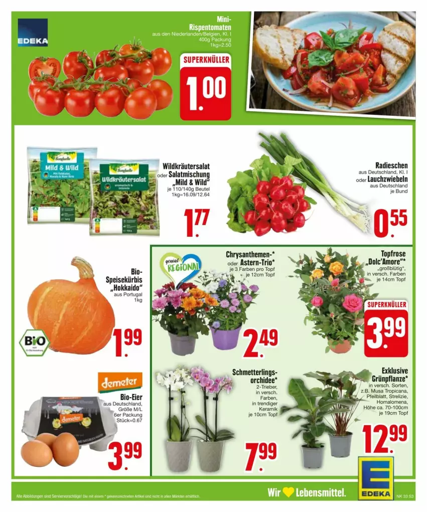 Aktueller Prospekt Edeka - Prospekte - von 11.08 bis 17.08.2024 - strona 5 - produkty: beutel, bio, chrysanthemen, deka, eier, eis, kräuter, Lauchzwiebel, lauchzwiebeln, Mett, orchidee, radieschen, rel, salat, Schmetterling, Ti, topf, Wild, zwiebel, zwiebeln