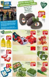 Gazetka promocyjna  - Prospekte - Gazetka - ważna od 30.04 do 30.04.2022 - strona 4 - produkty: Bad, banane, bananen, beutel, braten, champignon, champignons, cola, deka, eis, feldsalat, fleisch, grill, ideal zum braten, ipad, krüger, Lauchzwiebel, lauchzwiebeln, LG, mac, Nektar, nektarinen, paprika, pflanze, pflaume, pflaumen, radieschen, rucola, sac, salat, Schal, Schale, tafeläpfel, Ti, tomate, tomaten, zwiebel, zwiebeln