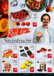 Gazetka promocyjna Marktkauf - Prospekt - Gazetka - ważna od 19.07 do 19.07.2025 - strona 12 - produkty: ananas, apfel, aprikose, aprikosen, deka, eis, fleisch, kirsch, kirsche, kirschen, korb, Nektar, nektarinen, pfirsich, pfirsiche, plattpfirsiche, reis, sac, tafeläpfel, Ti