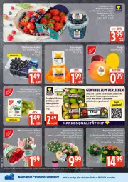 Gazetka promocyjna Edeka - Prospekte - Gazetka - ważna od 18.04 do 18.04.2026 - strona 4 - produkty: deka, gewinnspiel, gutschein, gutscheine, lack, Lacke, payback, südtiroler, tesa, Ti