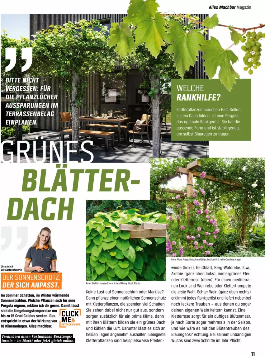 Aktueller Prospekt Obi - Prospekte - von 18.04 bis 31.05.2022 - strona 11 - produkty: bio, Blüte, eis, Garten, kiwi, mac, magazin, pflanze, pflanzen, Rauch, sonnenschirm, sonnenschutz, Ti, trauben, wein