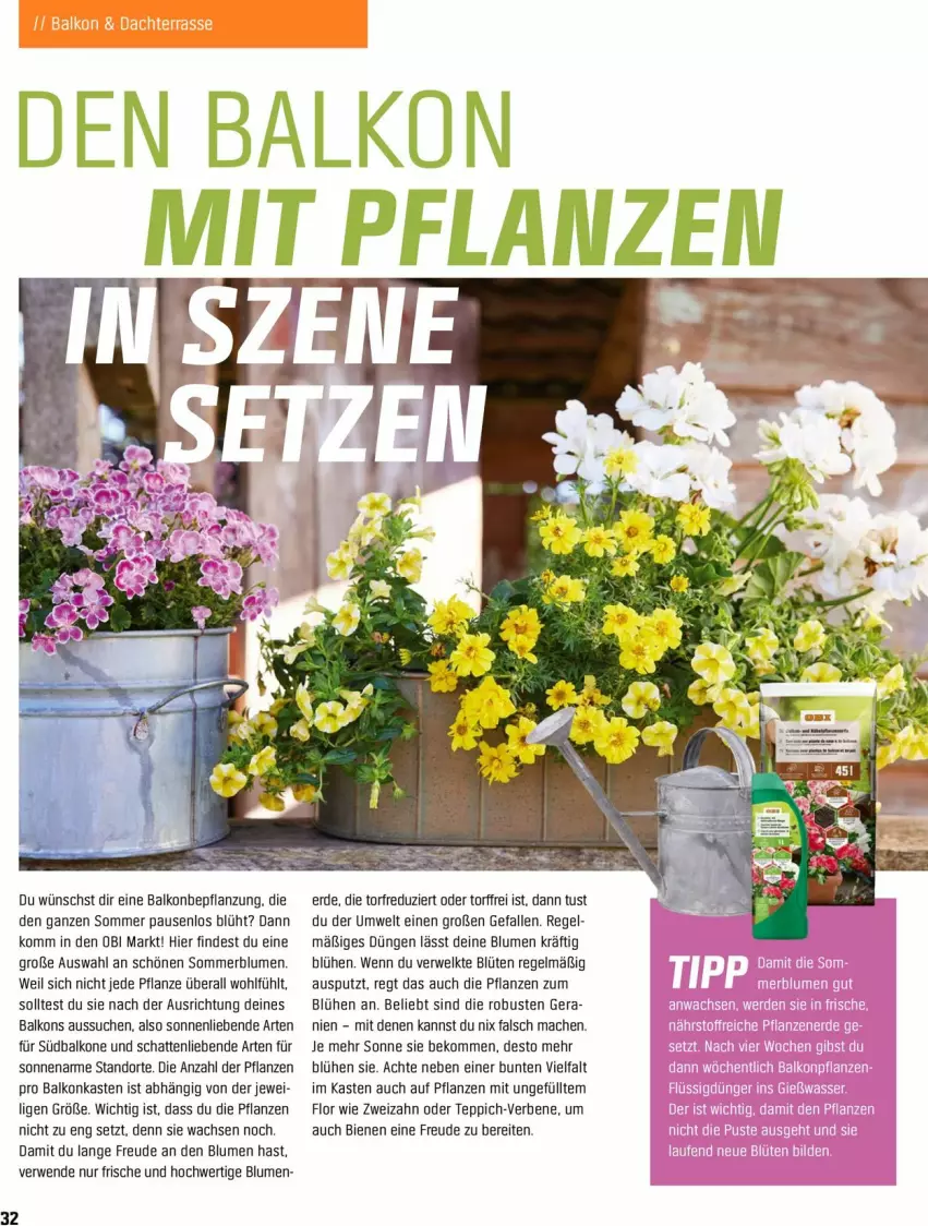 Aktueller Prospekt Obi - Prospekte - von 18.04 bis 31.05.2022 - strona 32 - produkty: beko, blume, blumen, Blüte, erde, mac, pflanze, pflanzen, rwe, teppich, Ti