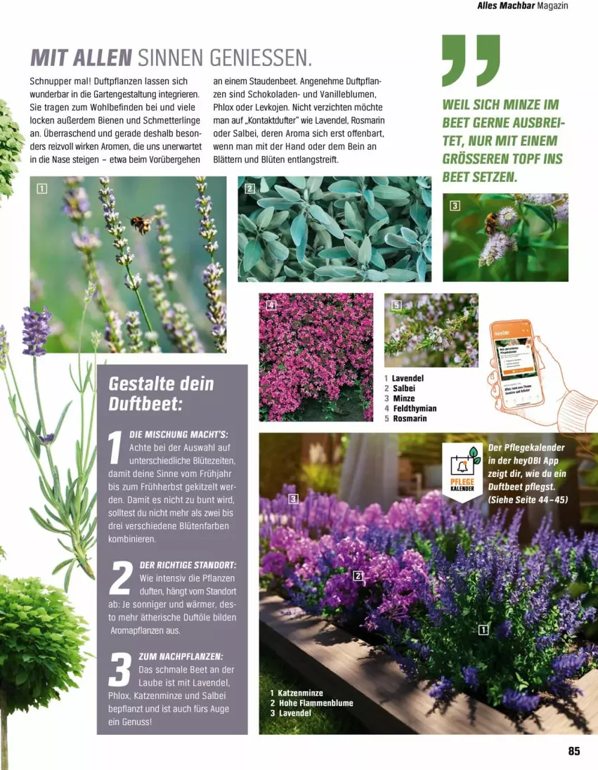 Aktueller Prospekt Obi - Prospekte - von 18.04 bis 31.05.2022 - strona 85 - produkty: blume, blumen, Blüte, Brei, erde, Garten, lavendel, LG, mac, magazin, Mett, minze, nuss, pflanze, pflanzen, rosmarin, Schmetterling, schoko, schokolade, schokoladen, stauden, topf, uhr, usb, vanille, Yo