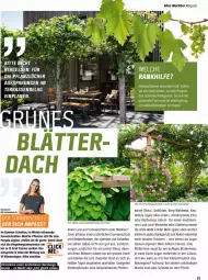 Gazetka promocyjna Obi - Prospekte - Gazetka - ważna od 31.05 do 31.05.2022 - strona 11 - produkty: bio, Blüte, eis, Garten, kiwi, mac, magazin, pflanze, pflanzen, Rauch, sonnenschirm, sonnenschutz, Ti, trauben, wein