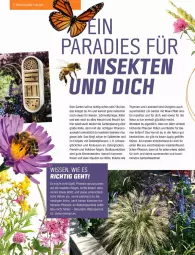 Gazetka promocyjna Obi - Prospekte - Gazetka - ważna od 31.05 do 31.05.2022 - strona 40 - produkty: aust, Austern, Bau, Blüte, Garten, käfer, kräuter, lavendel, LG, Liege, mac, Mett, natur, Nektar, obst, pflanze, pflanzen, Primeln, ritter, rosen, rum, Schmetterling, sekt, stauden, Ti, zwiebel