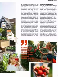 Gazetka promocyjna Obi - Prospekte - Gazetka - ważna od 31.05 do 31.05.2022 - strona 65 - produkty: aubergine, auberginen, Bau, beko, blume, blumen, braun, dell, eis, elle, fenster, Fenster und Türen, früchte, Garten, Gewächshaus, gin, gurke, gurken, Hohlkammerplatte, Kraut, kübelpflanzen, latte, leine, mac, magazin, mit gemüse, Mode, paprika, pflanze, pflanzen, pilze, regal, reifen, salat, tasse, tee, Ti, tisch, tomate, tomaten, ZTE
