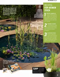 Gazetka promocyjna Obi - Prospekte - Gazetka - ważna od 31.05 do 31.05.2022 - strona 83 - produkty: auer, Bau, blume, elle, Krebs, mac, magazin, pflanze, pflanzen, quad, Ria, rosen, Schere, Ti, trolli, wasser