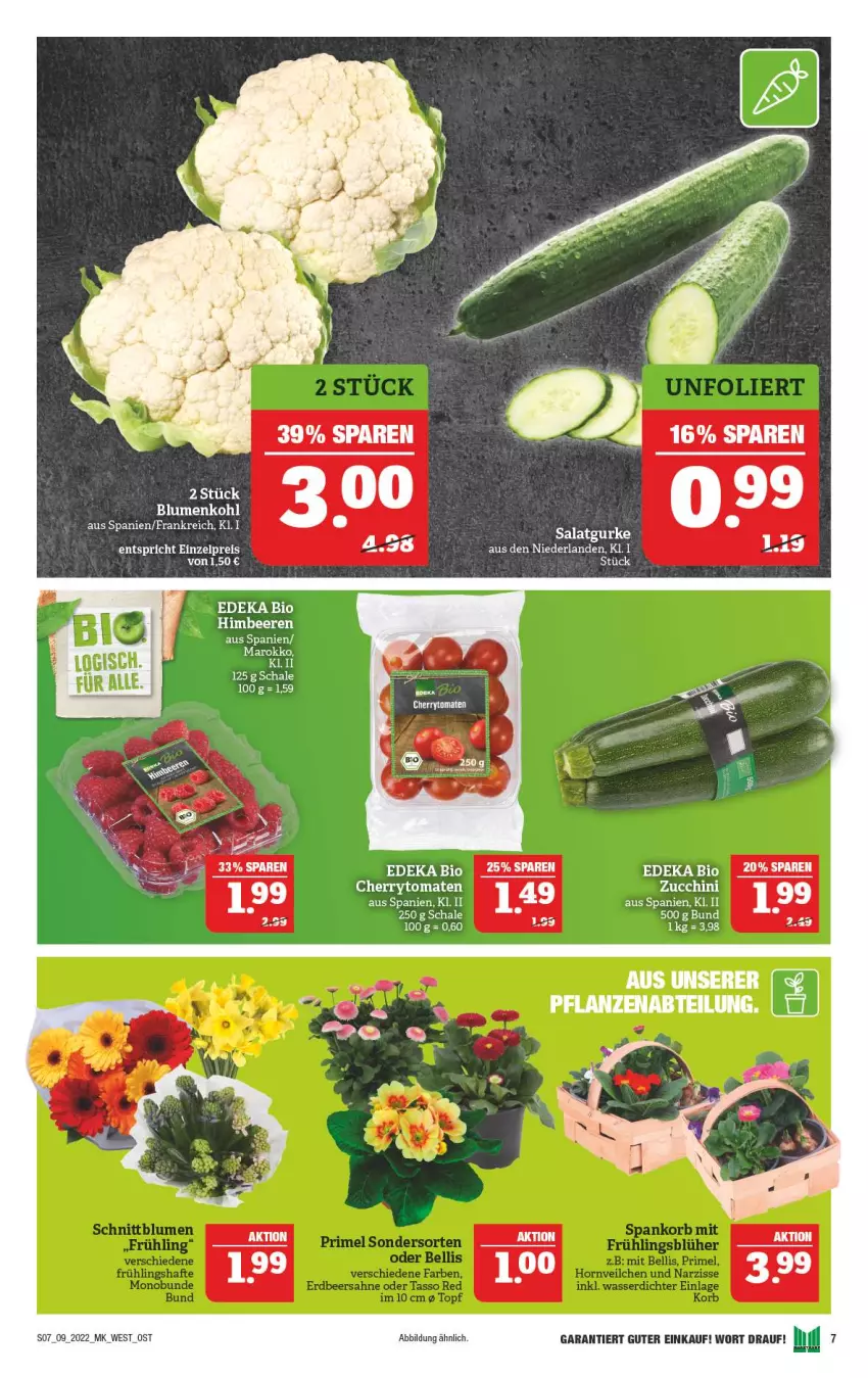 Aktueller Prospekt Marktkauf - Prospekt - von 27.02 bis 05.03.2022 - strona 11 - produkty: beere, beeren, bett, bio, blume, blumen, blumenkohl, cherrytomaten, deka, eis, gurke, himbeer, himbeere, himbeeren, salat, Salatgurke, Schal, Schale, Ti, tomate, tomaten, zucchini